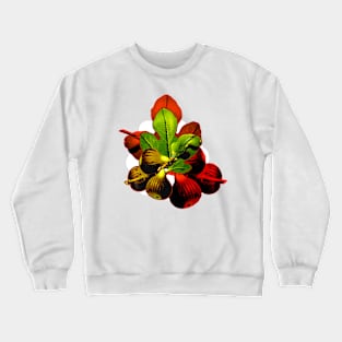 Fig leaves and fruit Crewneck Sweatshirt